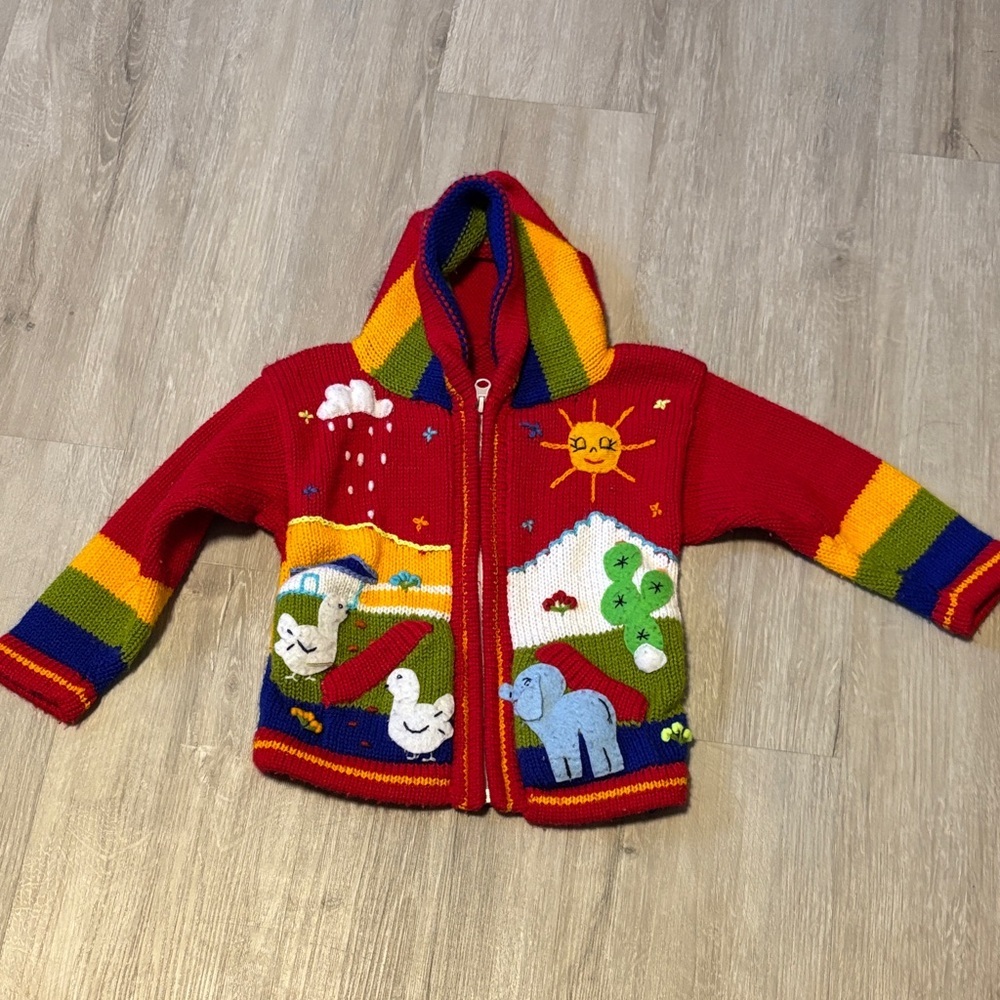 Colorful‎ Hooded Knit Sweater